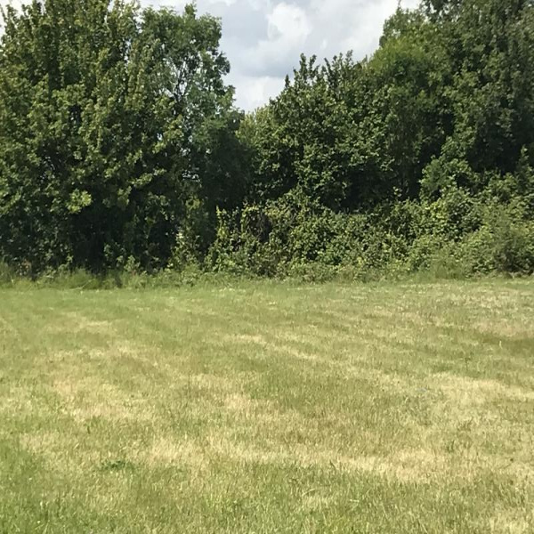 Offres de vente Terrain Bois-de-Céné 85710