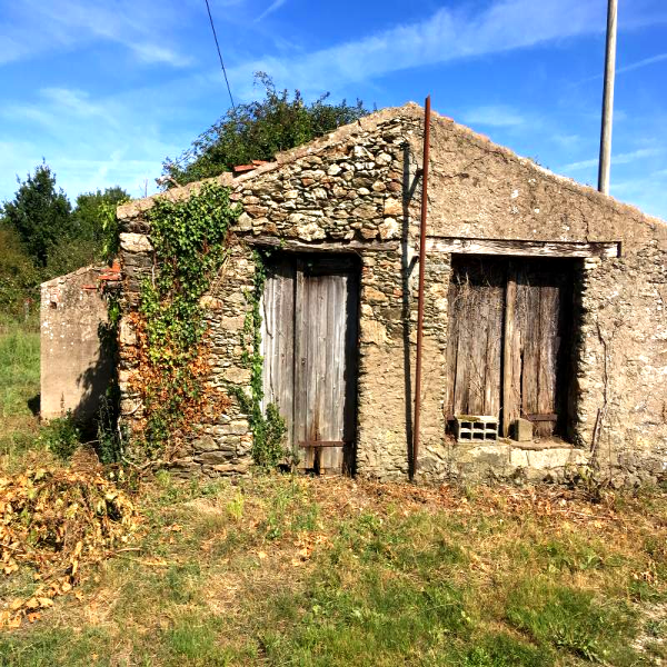 Offres de vente Maison Corcoué-sur-Logne 44650